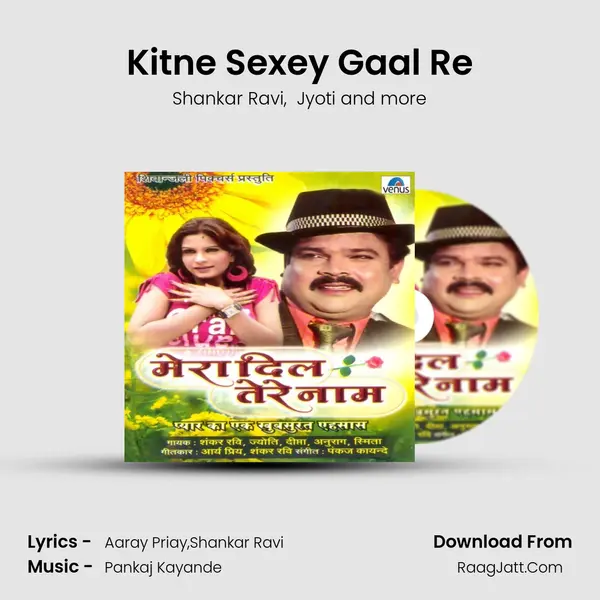 Kitne Sexey Gaal Re mp3 song