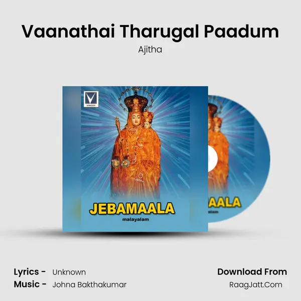 Vaanathai Tharugal Paadum Cover
