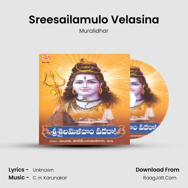 Sreesailamulo Velasina MP3 Song by Muralidhar Cover