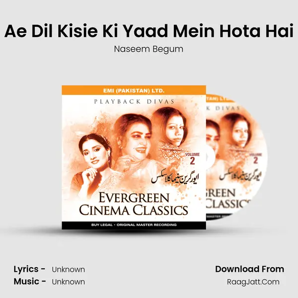 Ae Dil Kisie Ki Yaad Mein Hota Hai MP3 Song by Naseem Begum Cover