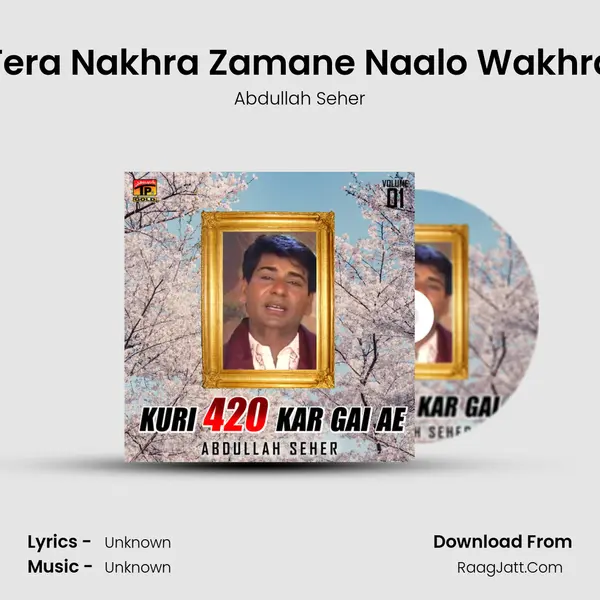 Tera Nakhra Zamane Naalo Wakhra MP3 Song by Abdullah Seher Cover