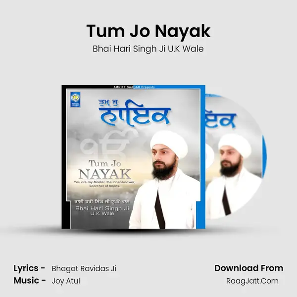 Tum Jo Nayak MP3 Song by Bhai Hari Singh Ji U.K Wale Cover
