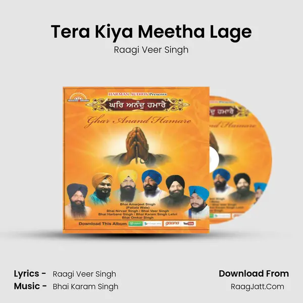 Tera Kiya Meetha Lage MP3 Song by Raagi Veer Singh Cover