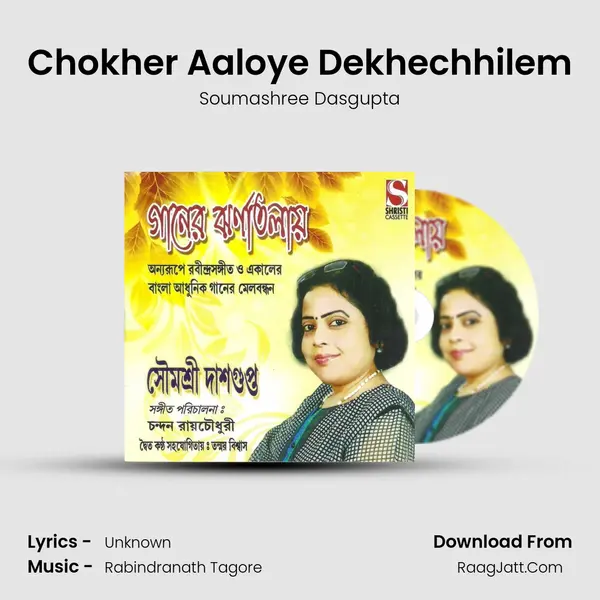 Chokher Aaloye Dekhechhilem mp3 song
