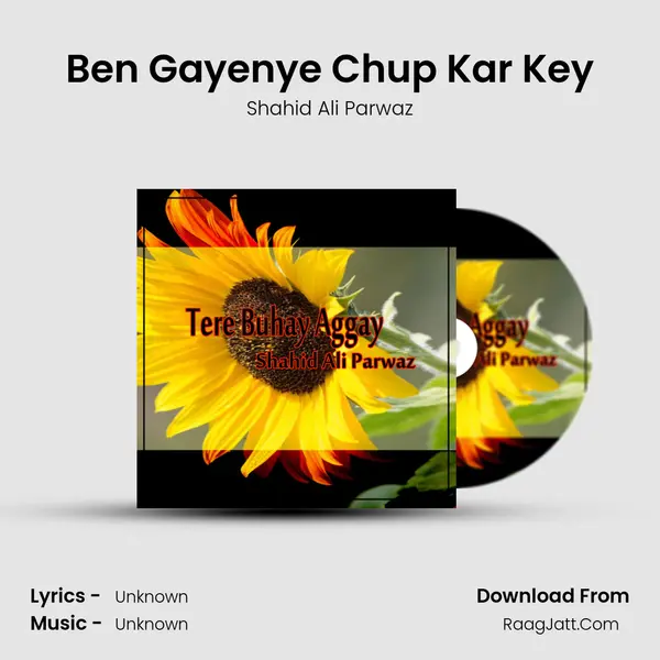 Ben Gayenye Chup Kar Key MP3 Song by Shahid Ali Parwaz Cover