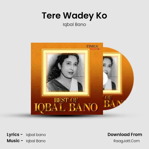 Tere Wadey Ko MP3 Song by Iqbal Bano Cover