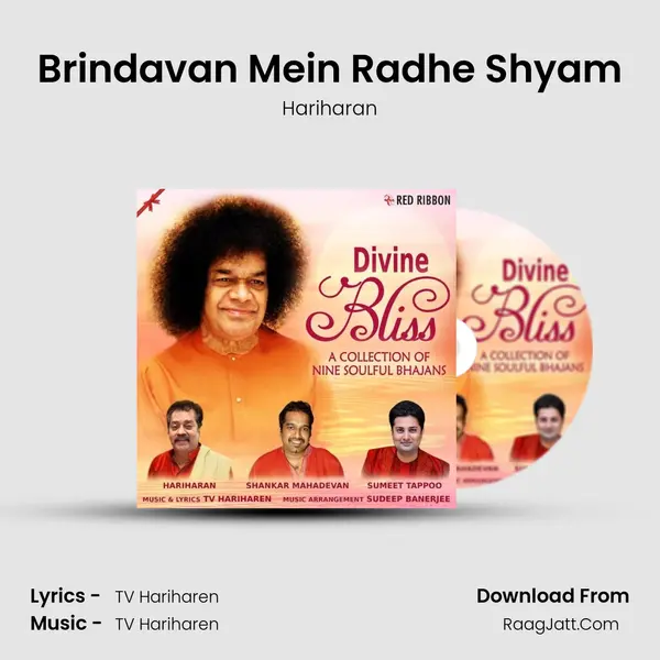 Brindavan Mein Radhe Shyam MP3 Song by Hariharan Cover