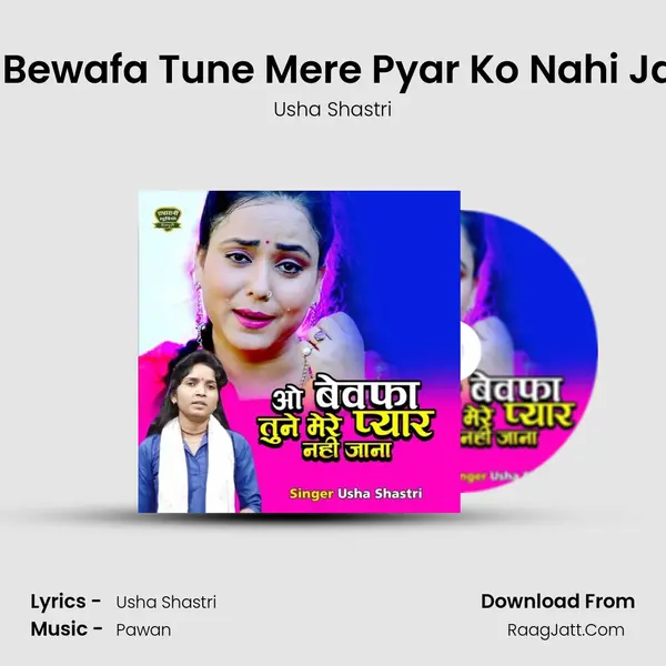 Oo Bewafa Tune Mere Pyar Ko Nahi Jana - Usha Shastri