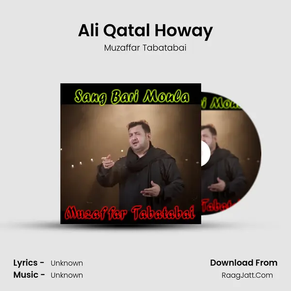 Ali Qatal Howay MP3 Song by Muzaffar Tabatabai Cover