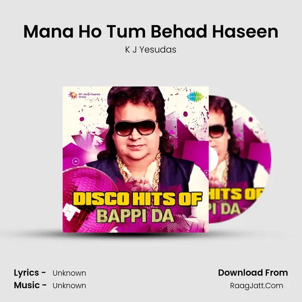 Mana Ho Tum Behad Haseen Cover