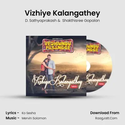Vizhiye Kalangathey MP3 Song by D. Sathyaprakash Cover