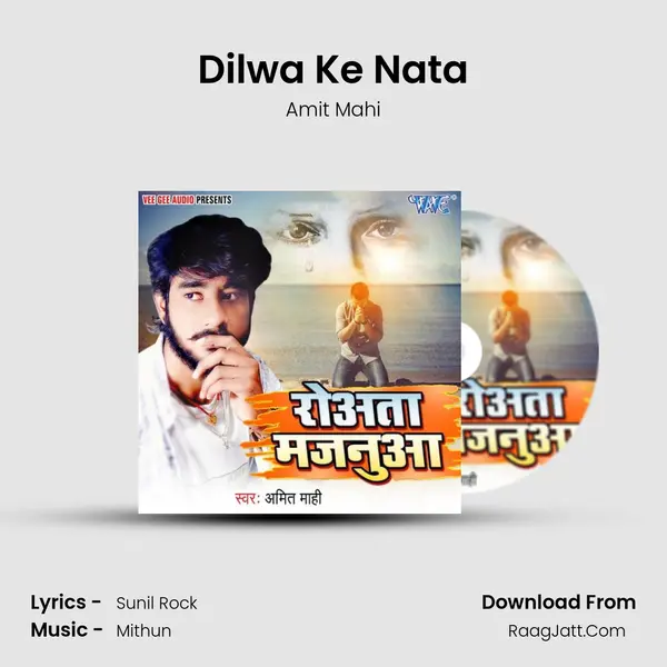 Dilwa Ke Nata mp3 song