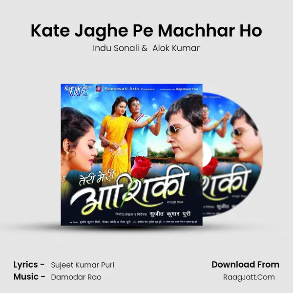 Kate Jaghe Pe Machhar Ho MP3 Song by Indu Sonali Cover