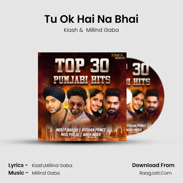 Tu Ok Hai Na Bhai mp3 song