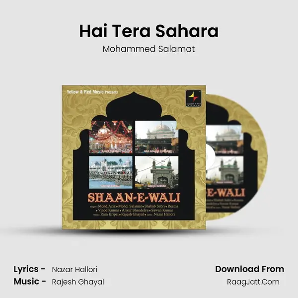 Hai Tera Sahara MP3 Song by Mohammed Salamat Cover