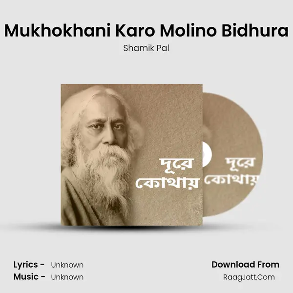 Mukhokhani Karo Molino Bidhura MP3 Song by Shamik Pal Cover