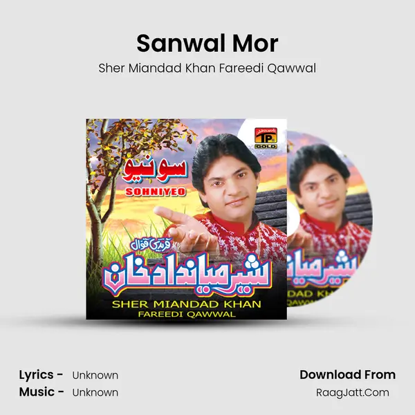 Sanwal Mor MP3 Song by Sher Miandad Khan Fareedi Qawwal Cover
