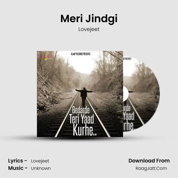 Meri Jindgi MP3 Song by Lovejeet Cover