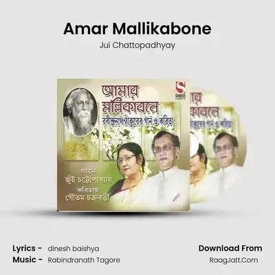 Amar Mallikabone MP3 Song by Jui Chattopadhyay Cover