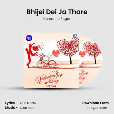 Bhijei Dei Ja Thare Cover