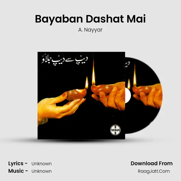 Bayaban Dashat Mai MP3 Song by A. Nayyar Cover