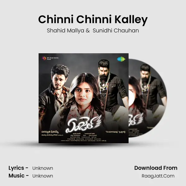 Chinni Chinni Kalley MP3 Song by Shahid Mallya Cover