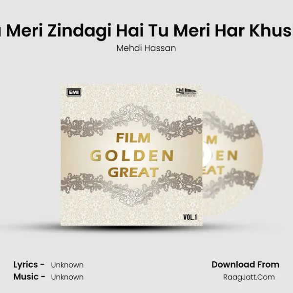 Tu Meri Zindagi Hai Tu Meri Har Khushi (From Mohabbat Mar Nahi Sakti) MP3 Song by Mehdi Hassan Cover