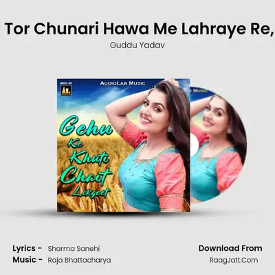 Gori Tor Chunari Hawa Me Lahraye Re, Pt. 1 MP3 Song by Guddu Yadav Cover