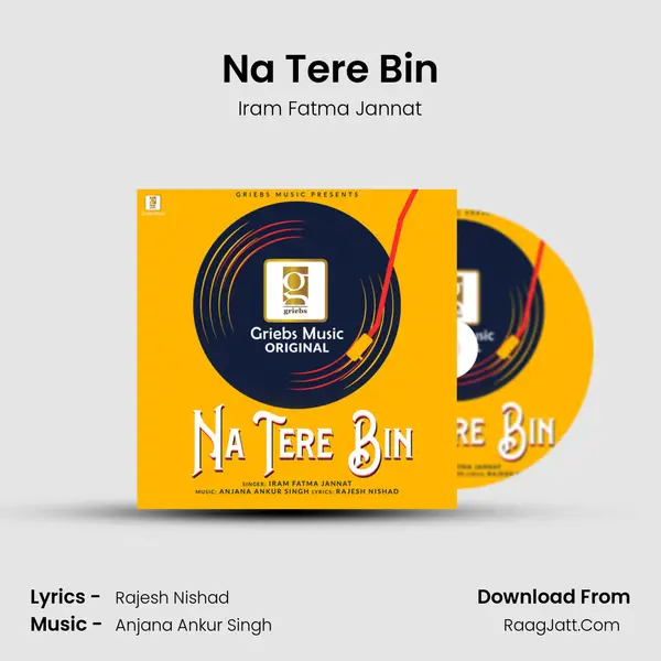 Na Tere Bin Cover