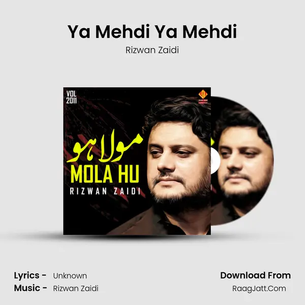 Ya Mehdi Ya Mehdi MP3 Song by Rizwan Zaidi Cover