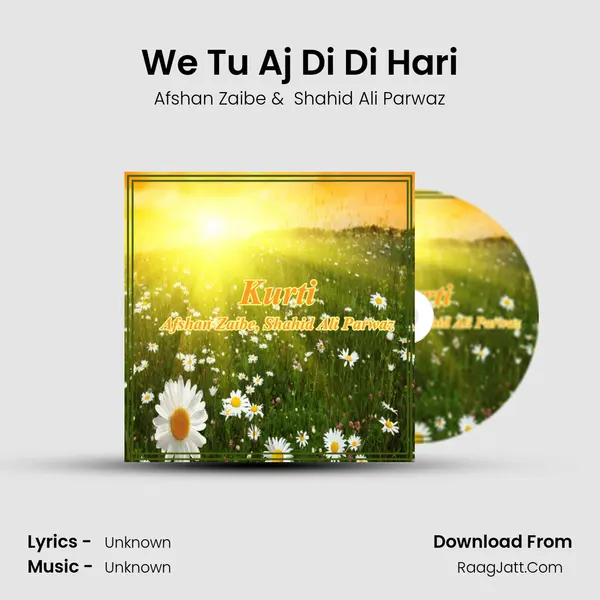 We Tu Aj Di Di Hari MP3 Song by Afshan Zaibe Cover