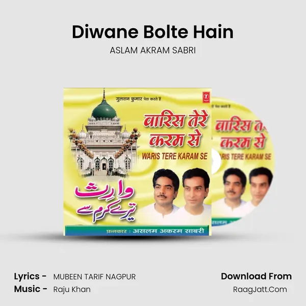 Diwane Bolte Hain MP3 Song by ASLAM AKRAM SABRI Cover