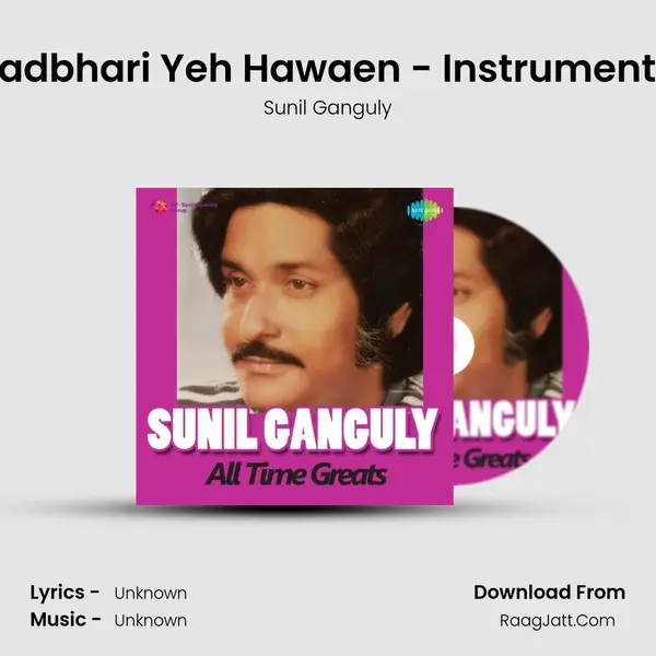 Madbhari Yeh Hawaen - Instrumental MP3 Song by Sunil Ganguly Cover