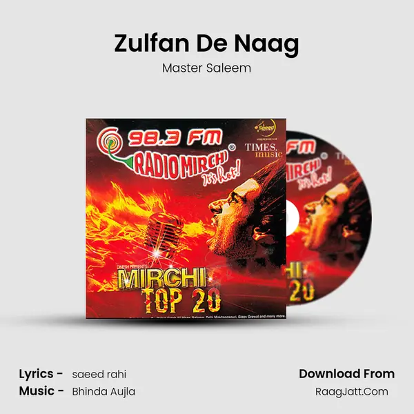 Zulfan De Naag MP3 Song by Master Saleem Cover