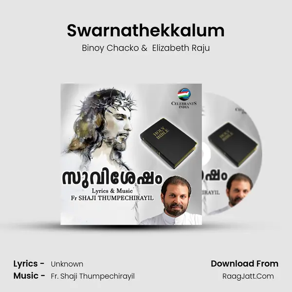 Swarnathekkalum MP3 Song by Binoy Chacko Cover