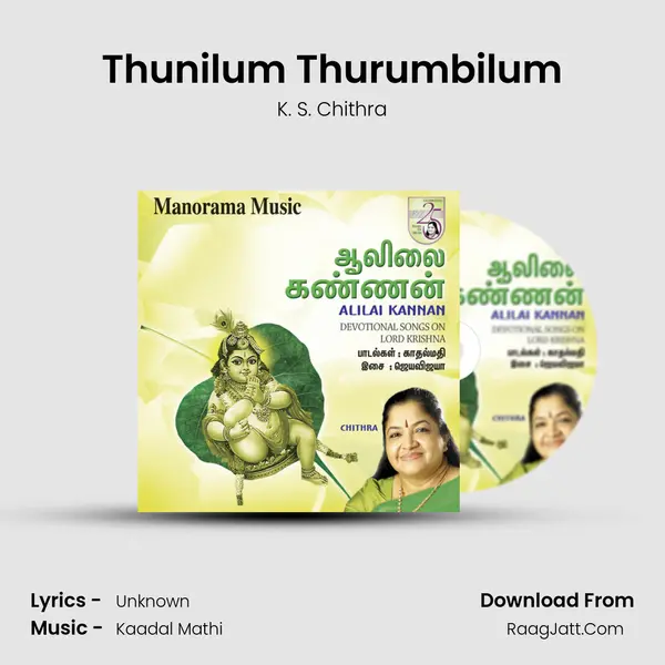 Thunilum Thurumbilum MP3 Song by K. S. Chithra Cover