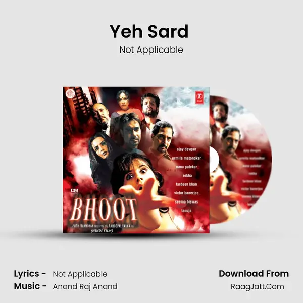Yeh Sard (Instrumental) MP3 Song by Not Applicable Cover