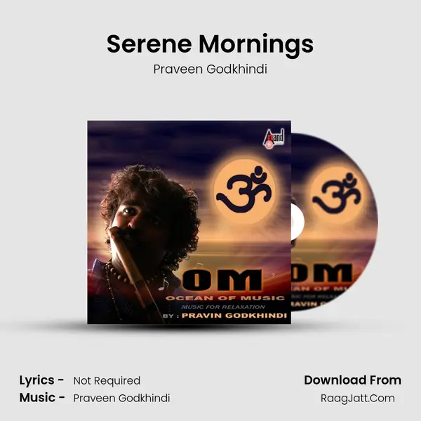 Serene Mornings MP3 Song by Praveen Godkhindi Cover