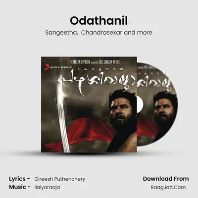 Odathanil MP3 Song by Sangeetha Cover