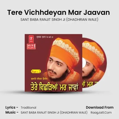 Tere Vichhdeyan Mar Jaavan - SANT BABA RANJIT SINGH JI (DHADHRIAN WALE)