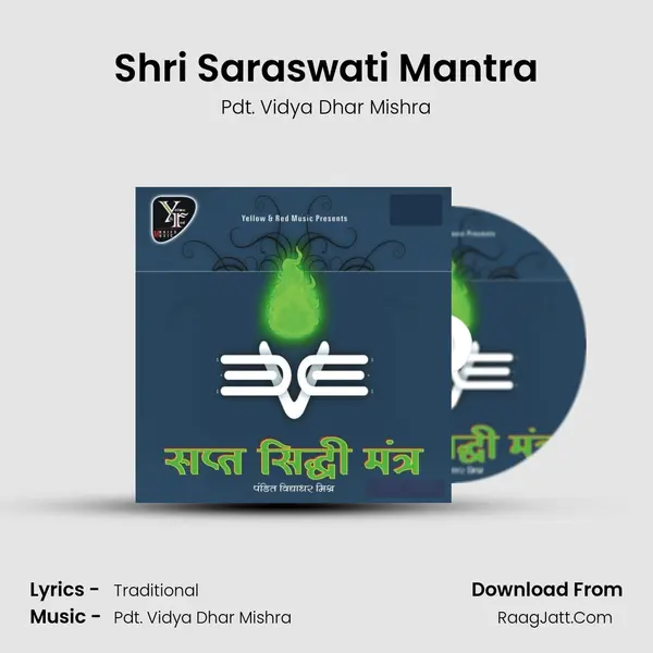 Shri Saraswati Mantra MP3 Song by Pdt. Vidya Dhar Mishra Cover