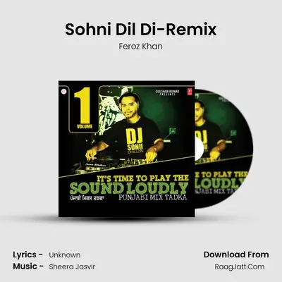 Sohni Dil Di-Remix MP3 Song by Feroz Khan Cover