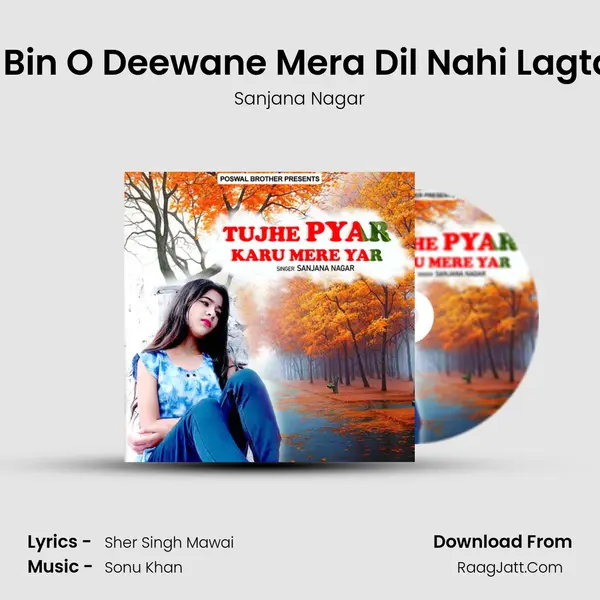Tere Bin O Deewane Mera Dil Nahi Lagta Hai mp3 song