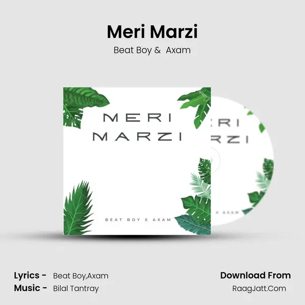Meri Marzi mp3 song