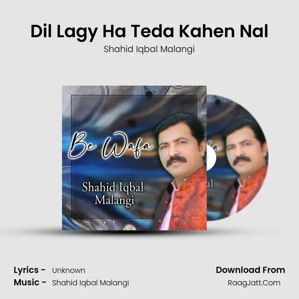 Dil Lagy Ha Teda Kahen Nal Cover