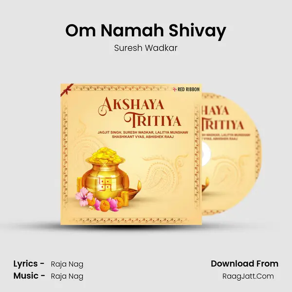 Om Namah Shivay Cover
