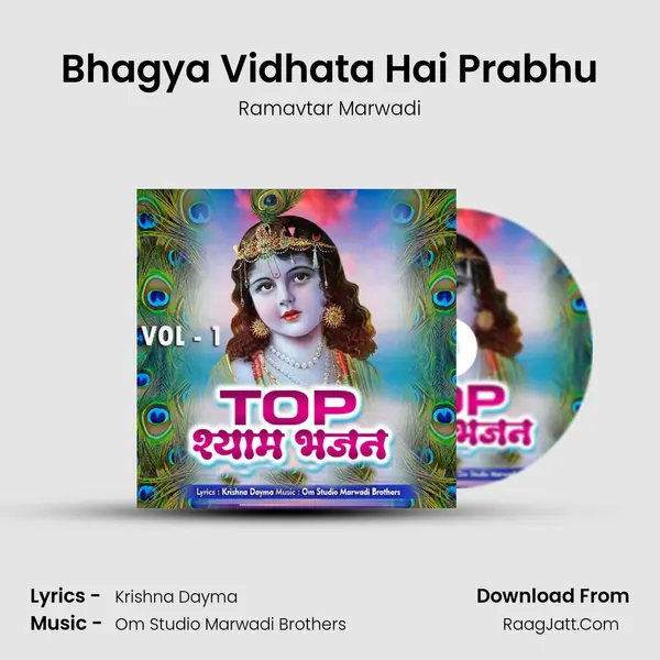 Bhagya Vidhata Hai Prabhu mp3 song