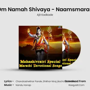 Om Namah Shivaya - Naamsmaran Cover