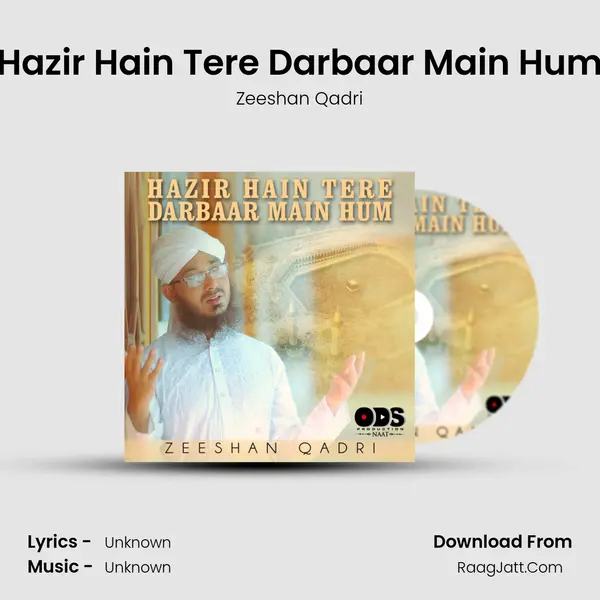 Hazir Hain Tere Darbaar Main Hum - Single - Zeeshan Qadri