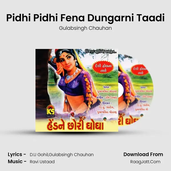Pidhi Pidhi Fena Dungarni Taadi MP3 Song by Gulabsingh Chauhan Cover